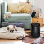 Top 11 cele mai bune purificatoare de aer