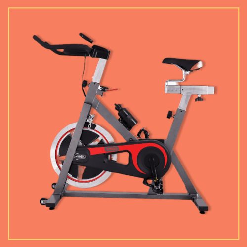 Bicicletă Spinning Ecofit 8284C