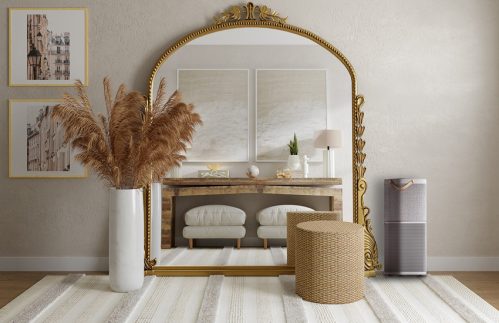 Purificator de aer Electrolux PA91-604GY