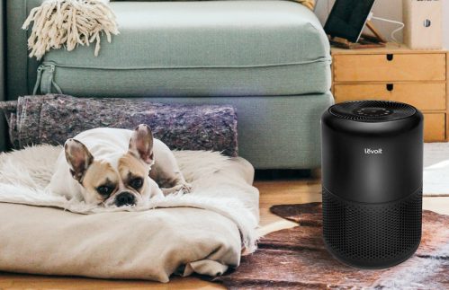 Purificator de aer LEVOIT Core 300