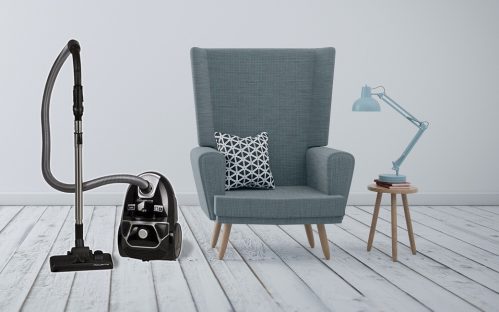 Aspirator cu sac Rowenta Compact Power Animal Care RO3985EA 