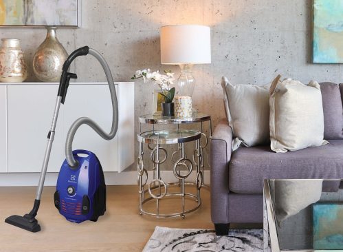 Aspirator cu sac Electrolux EPF62IS 