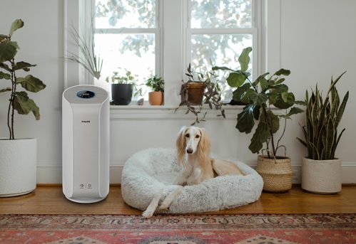 Purificator de aer Philips AC3055/50